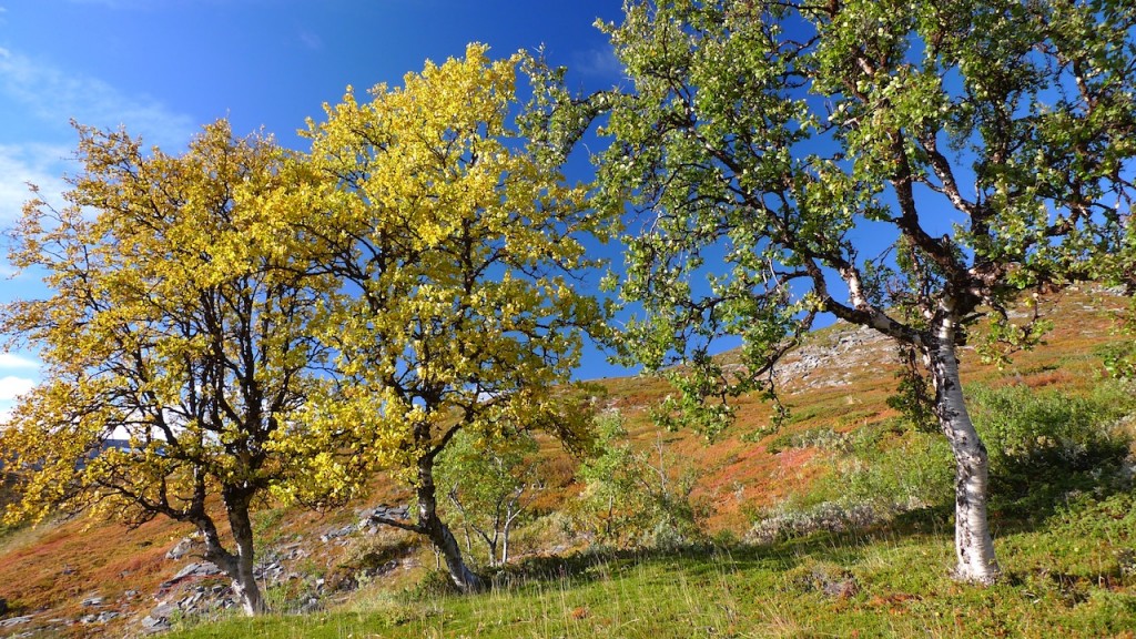 Diese Zeit ist fast wie eine umgekehrt verlaufende Pubertät. Vor allem emotional ist diese Lebensphase ein ziemlicher Brocken, der verdaut werden will: War es das jetzt? Was kommt noch? Bin das wirklich ich?