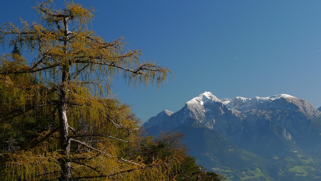 angekommen im Herbst des Lebens