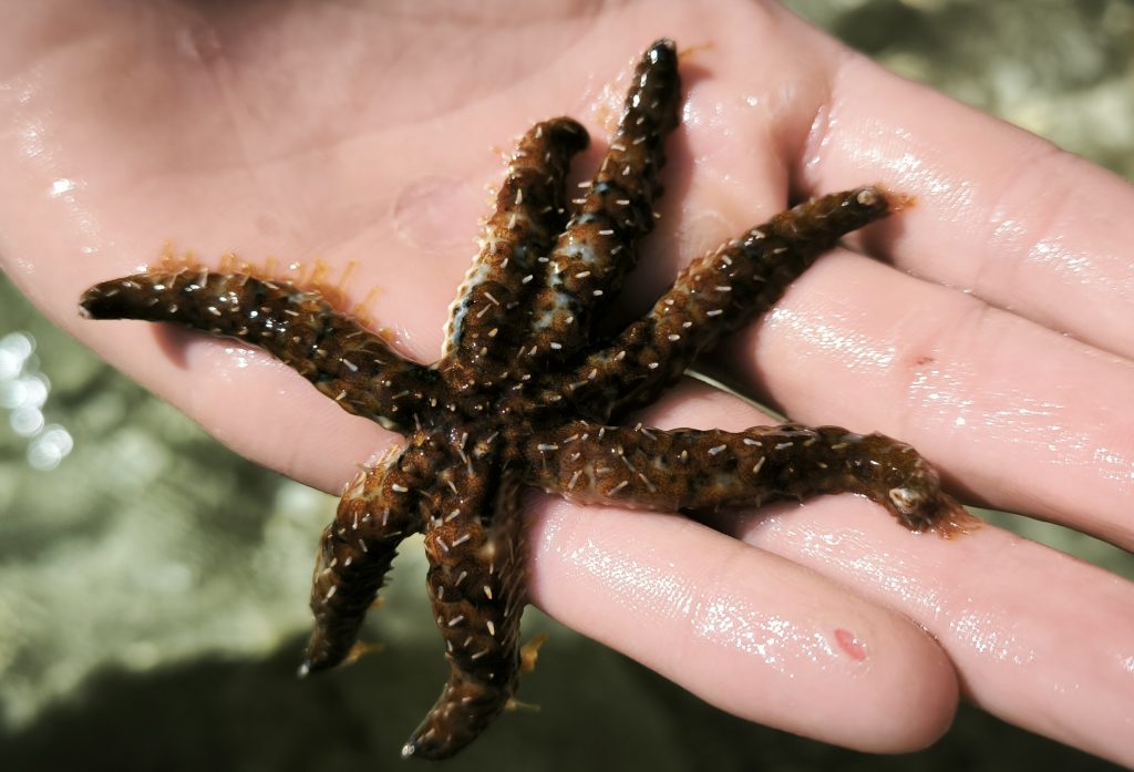 Wir kennen das alle und viele Führungskräfte rollen entnervt mit den Augen: Menschen, die immer wieder dasselbe fragen, die nie wissen wo sie etwas finden können oder wo es hin gehört, die sich gefühlt nichts merken können…