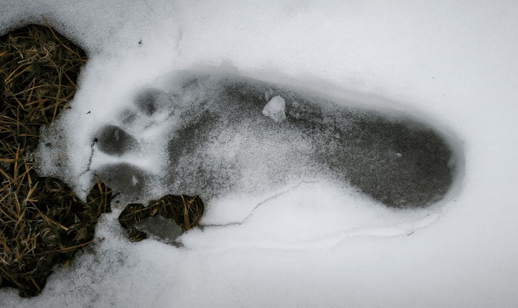 Es wird analysiert und festgestellt, es wird nachgedacht und kreativ gebrainstormt, es werden Ideen geprüft und fein geschliffen, es wird vereinbart (hoffentlich!) und mit der Umsetzung begonnen (auch hoffentlich!). Doch dann verlaufen die Aktivitäten im Sande.