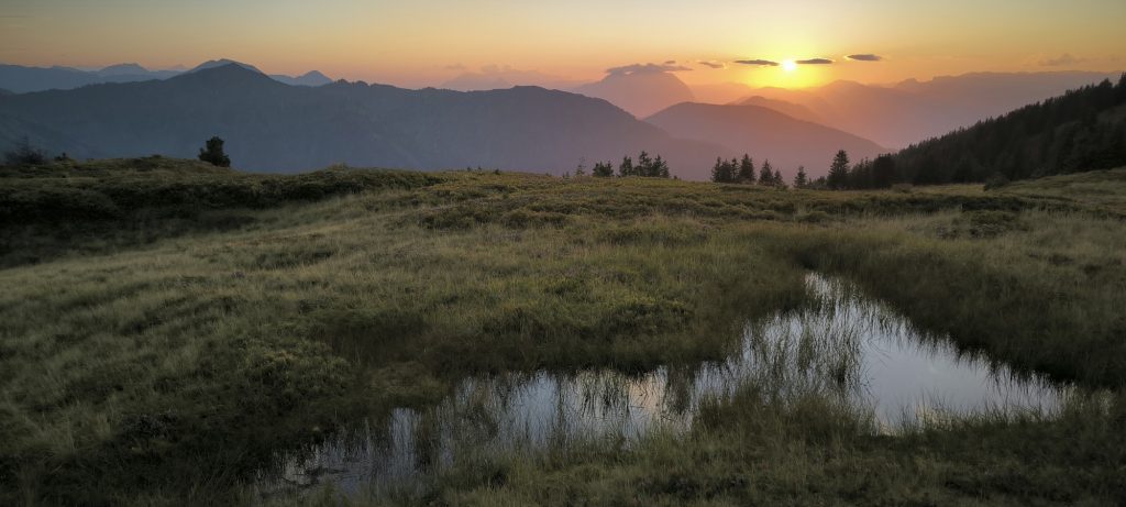 Leistung steigern zu wollen ist ein normales, dem Kapitalismus inhärentes Motiv. Unser Wirtschaftssystem funktioniert nur über Steigerungen. Doch Leistungssteigerungen sind komplexe Phänomene. Werden die Wechselwirkungen ausgeblendet, gibt es böse Überraschungen.