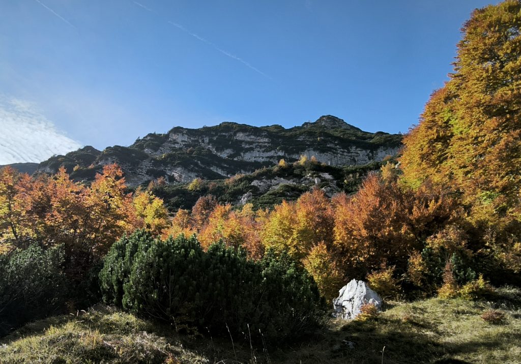 Wird nichts vereinbart, weiß niemand was gilt. Ein konsequentes Vorgehen ist unmöglich. Vereinbarungen sind das Ergebnis von komplexen und vielgestaltigen Erkenntnis- und Entscheidungsprozessen.